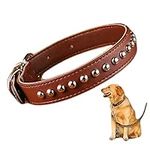 Personalized Genuine Leather Dog Co