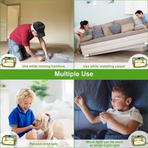 GAESHOW Flea Trap Lamp 2-Pack – Indoor Insect Catcher