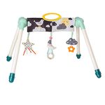 Taf Toys Mini Moon Take to Play Baby Activity Gym, Double Sided, Foldable Baby Play Gym with 3 Sensory Hanging Toys, Perfect to use with Bouncers. Suitable for Baby Boys & Girls from Birth 0 Months +