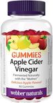 Webber Naturals Apple Cider Vinegar Gummy, 200 mg with The Mother, 90 Gummies, Antioxidants Support, Vegan