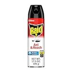 Raid Ant & Roach Aerosol Bug Spray,