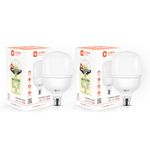 Orient Electric Eternal Shine LED Bulb 30W, B22d Cap, 6500K (Pack of 2)