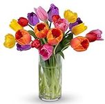Benchmark Bouquets 20 stem Tulips, 