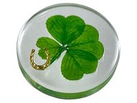 Real Four Leaf Clover Good Luck Pocket Token, Preserved, 3.2 cm, Including Metal Horseshoe Object (Gold)