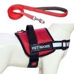 PAYTON PERRY Customized Dog Harness with Leash | Dog Harness with Name | Personalized Dog Vest Harness, No Pull, Adjustable (Large, RED, Recommended for 24-35KG Dogs)