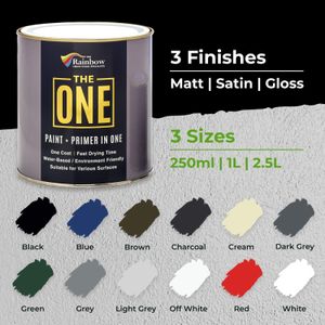 THE ONE Black Matte Paint, 250ml – Multi-Surface Interior & Exterior