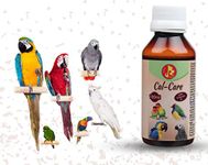 Pet Care International (PCI) Cal Care for Essential Calcium to Healthy Bird Healthcare (100ml)