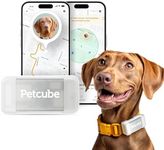 Petcube GPS Tracker for Dogs | Pet GPS Location Tracker with Escape Alerts and Virtual Fences, Activity and Wellness Monitoring, Glows in a Dark, Water and Dust Proof