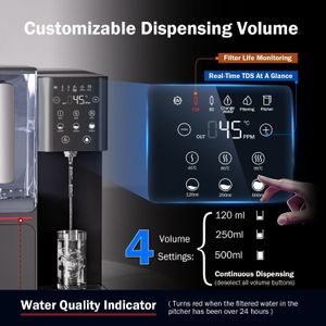 Frizzlife Countertop RO Water Filter – Compact Reverse Osmosis System