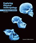 Exploring Physical Anthropology: A Lab Manual & Workbook