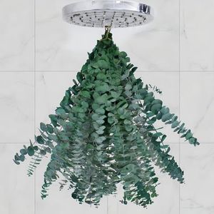 CENELO 20 Pcs Dried Eucalyptus for Shower - Real Eucalyptus Stems,17'' Fresh 100% Natural Leaves & Aromatic for Shower Spray, Home Decor, Party Present, Wedding Gift