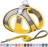 AIITLE Easy Walk Dog Harness and Leash Set - Pet Supply No Pull, Step in Adjustable Dog Harness with Padded Vest for All Weather, Dog Harness No Choke Over, Easy to Put on Medium Dogs Yellow L