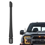 Ford Antenna