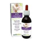 Marshmallow (Althaea officinalis) Roots Alcohol-Free Mother Tincture Naturalma | Liquid Extract Drops 120 ml | Food Supplement | Vegan