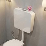 WASSMIST Flush Tank for Toilet | Dual Flushing 3L/6L | Wall Mount Toilet Flush Tank with Air Freshener | Polypropylene Toilet Tank
