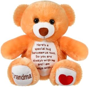 Sympathy Bears for Boys and Girls Loss of Grandma, Memorial Stuffed Animal for Loss of Grandma Boys and Girls Sympathy Gift for Grieving Bear Plush Toy for Condolences Memorial Loss of Loved