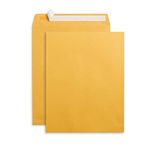 Blue Summit Supplies 100 10” x 13” Catalog Envelopes, Self Seal, For Mailing Catalogs, Magazines and Other Thick Documents, No Window, 28 lb Paper Envelopes, 100 Pack