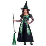 amscan (PKT) (9911971) Child Girls Spider Witch Costume (8-10yr)