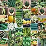 Cucumber 'Mix' 22+ Seeds All Types 