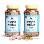 Heads Up For Tails Yummy in My Tummy Chicken Dog Biscuits for Adult Dog & Puppy - 320g | All Life Stages, Dog Treats, Crunchy Dog Biscuits | Made with Real Chicken | Pack of 2