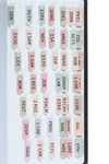 DiverseBee Laminated Bible Tabs (Large Print, Easy to Apply), Bible Tabs Old and New Testament, Bible Study Journaling Supplies, Bible Accessories, Bible Index Tabs, 72 Bible Book Tabs (Petal)