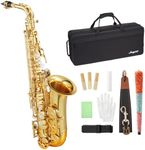 GarveeTech Gold Laquer E Flat Alto Saxophone with Mouthpiece, Case, Cleaning Cloth, Gloves and Cleaning Rod