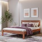 Wakefit Bed | 3 Year Warranty | Double Bed, Queen Size Bed, Ara Teak Wood Bed Without Storage, Solid Wood Bed (Honey Finish_Brown)