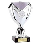 Trophies Plus Medals Cape Cup Silver FREE ENGRAVING