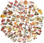 60PCS Mushroom Laptop Stickers Deca