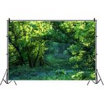 Bovlleetd 12x8ft Jungle Forest Backdrop Greenery Trees Leaves Natural Scenery Photography Background Birthday Party Decorations Vacation Go Hiking Poster Photo Studio Props Vinyl