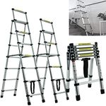 Lightweight Ladders