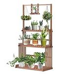 Wood Plant Ladder Shelf, Hanging Pl