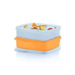 Tupperware Lunch-It Portion & Go Compact 2-Lunch Box Set - Dishwasher Safe & BPA Free - (2.3 Cups/550 ml)