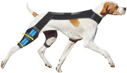 Dog Knee Brace for Torn ACL Hind Le