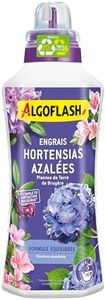 Algoflash 