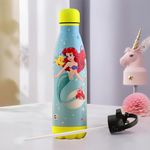 Disney Water Bottle For Adults