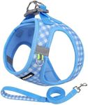 AIITLE Easy Walk Dog Vest Harness and Leash Set, Pet Supply No Pull, Summer Breathable Mesh, Reflective Stripes, Adjustable Escape Proof Pet Outdoor Harnesses for Medium Dogs Blue L