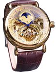 FORSINING Luxury Men's Watch with Moon Phase & Tourbillon, Retro Skeleton Hollow Self-wind Mechanical Wristwatch, Leather Belt Automatic Movement Men Watches, gold gold, Mechanical