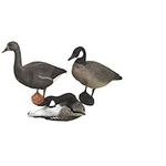 Full Body Canada Goose Set of 3 by Sport Plast