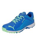 Puma Mens 22 FH Rubber VK Bluemazing-Elektro Green-White Cricket Shoe - 7 UK (10671303)