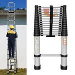 Compact Ladder