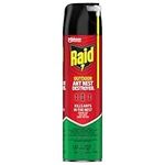 Raid Ant Killer Nest Destroyer, Kills on Contact, For Outdoor Use, 400g