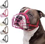 BRONZEDOG Pitbull Dog Muzzle Metal 