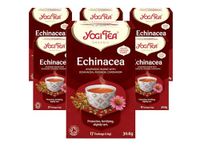 Yogi Tea, Echinacea, Organic Herbal Tea, Naturally Caffeine Free, Blend of Echinacea, Rooibos and Cardamom, 6 Packs x 17 Tea Bags (102 Teabags Total)