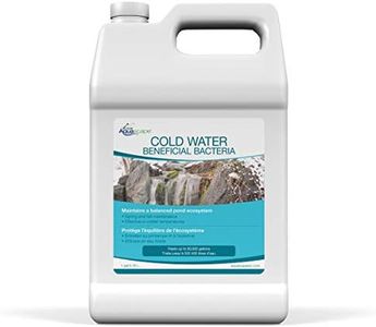 Aquascape 