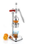 Stainless Steel Juicer