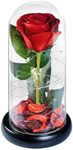 DHOEM Preserved Flower Silk Rose in Glass Dome Gifts for Mom,Silk Glass Rose Forever Flower Birthday Gifts for Wife Women Mom Best Friend Girlfriend,Galaxy Red Silk Rose Gifts for Wife(8inch)