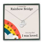 HOPE LOVE SHINE Rainbow Bridge necklace Pet Dog Cat loss memorial necklace gift (SILVER)