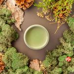 Dixie Belle Paint Company Weeping Willow Chalk Mineral Paint - Size: 1 Gallon (128 oz.) – Matte Chic Chalk Mineral DIY Furniture Paint