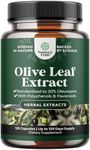 Potent Olive Leaf Extract Capsules - High Strength Antioxidant Supplement with Pure Olive Leaf with 20% Oleuropein - Herbal Heart Health Supplement - Vegan Non-GMO & Gluten Free (4 Month Supply)